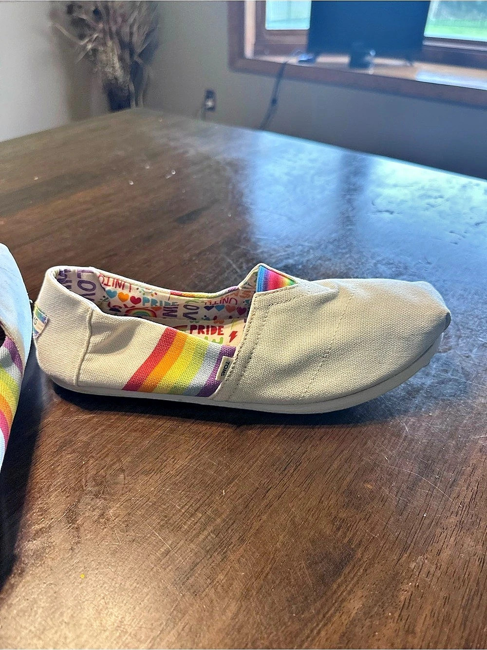 TOMS Pride Rainbow Love Unity Alpargata Slip On Shoes Size 9 - Picture 7 of 11